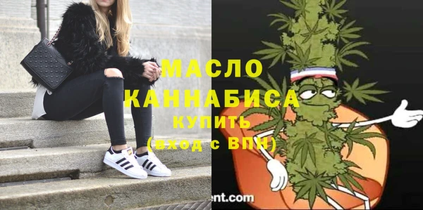 индика Армянск