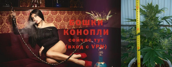 ПСИЛОЦИБИНОВЫЕ ГРИБЫ Нязепетровск