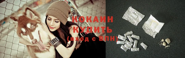 индика Армянск